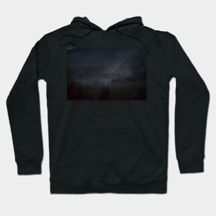 TREES IN THE MIDST Hoodie